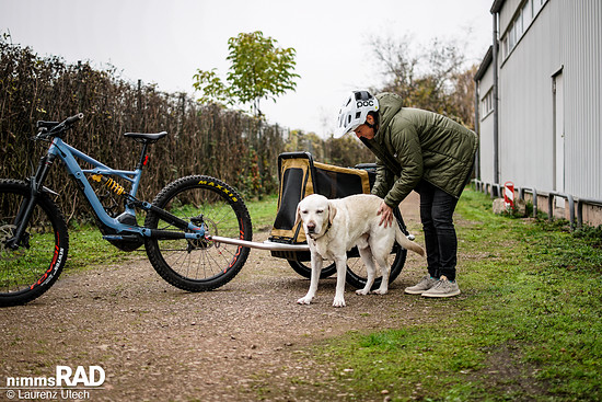 Veolo-Hundeanhänger-Test Nimms-Rad-3