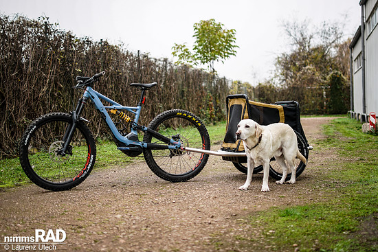 Veolo-Hundeanhänger-Test Nimms-Rad-4