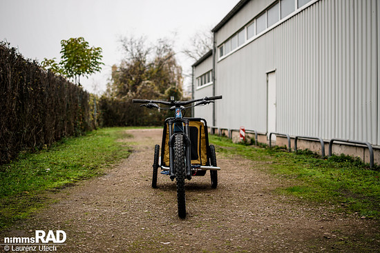 Veolo-Hundeanhänger-Test Nimms-Rad-10