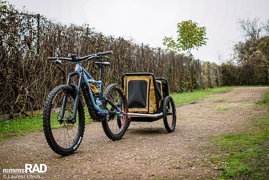 Veolo-Hundeanhänger-Test Nimms-Rad-11