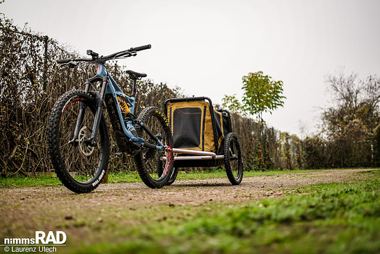 Veolo-Hundeanhänger-Test Nimms-Rad-12