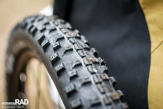 Veolo-Hundeanhänger-Test Nimms-Rad-22