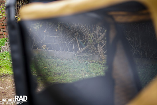 Veolo-Hundeanhänger-Test Nimms-Rad-46