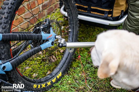 Veolo-Hundeanhänger-Test Nimms-Rad-50