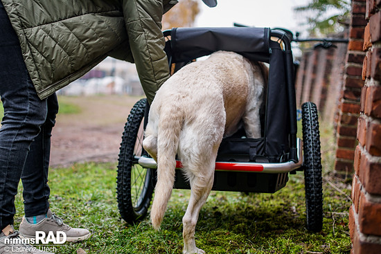 Der niedrige Einstieg erleichtert Hunden das Einsteigen. Die Liegefläche von 72 × 40 cm bietet mittelgroßen Hunden ausreichend Platz, größere Hunde können sich nur eingeschränkt drehen.