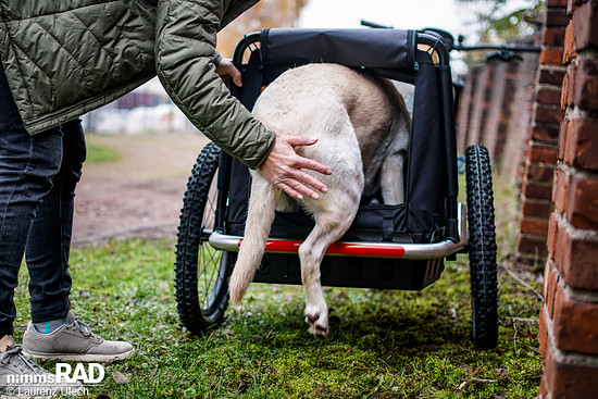 Veolo-Hundeanhänger-Test Nimms-Rad-61