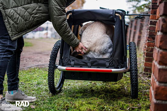 Veolo-Hundeanhänger-Test Nimms-Rad-63