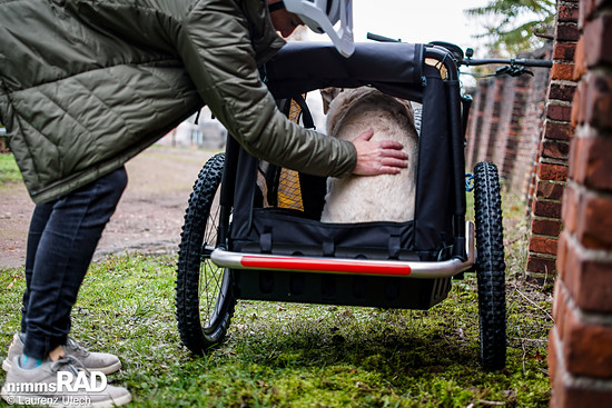 Veolo-Hundeanhänger-Test Nimms-Rad-65
