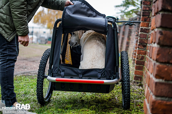 Veolo-Hundeanhänger-Test Nimms-Rad-66