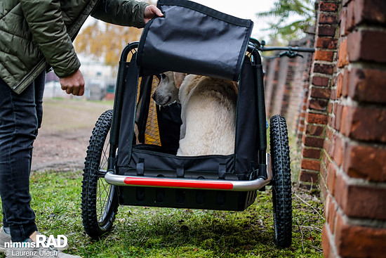 Veolo-Hundeanhänger-Test Nimms-Rad-67