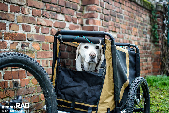 Veolo-Hundeanhänger-Test Nimms-Rad-69