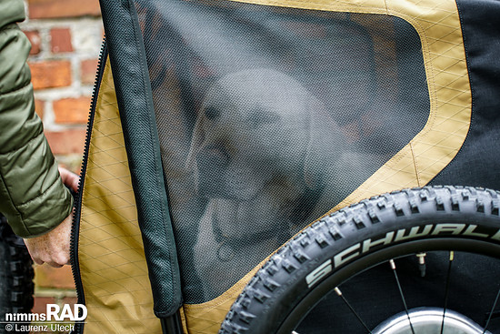 Veolo-Hundeanhänger-Test Nimms-Rad-70