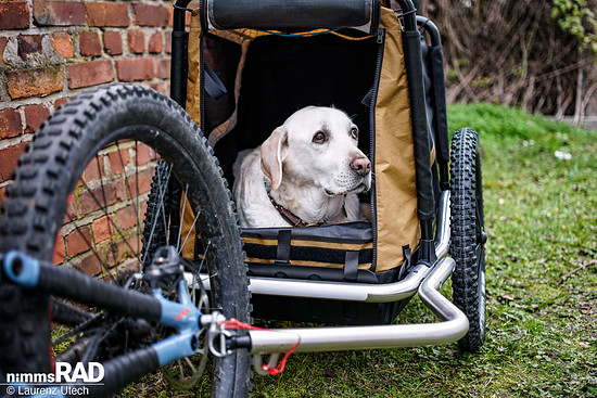 Veolo-Hundeanhänger-Test Nimms-Rad-73