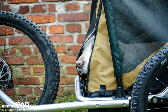 Veolo-Hundeanhänger-Test Nimms-Rad-77