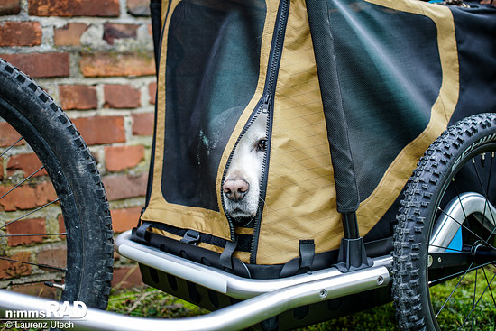 Veolo-Hundeanhänger-Test Nimms-Rad-79