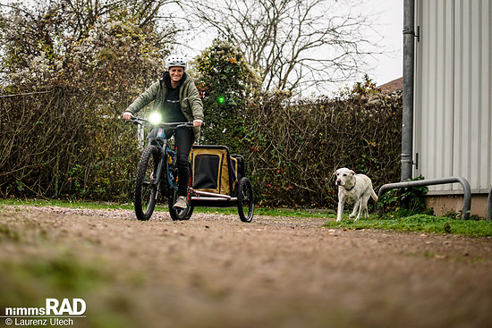 Veolo-Hundeanhänger-Test Nimms-Rad-94