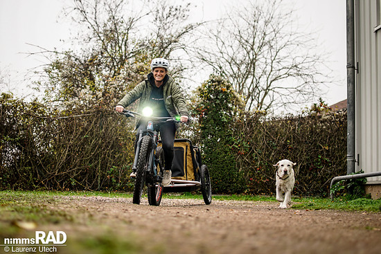 Veolo-Hundeanhänger-Test Nimms-Rad-95