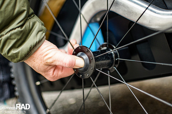 Veolo-Hundeanhänger-Test Nimms-Rad-96