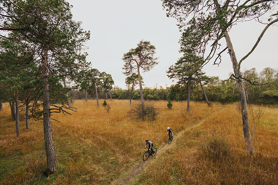 20241031Bosch-eBike-Gravel-MUC-MY2025- JM02971-Print