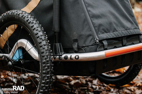 Veolo Dog  Nimms Rad Lena Weber©-04