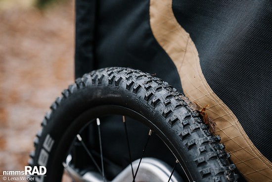 Veolo Dog  Nimms Rad Lena Weber©-05