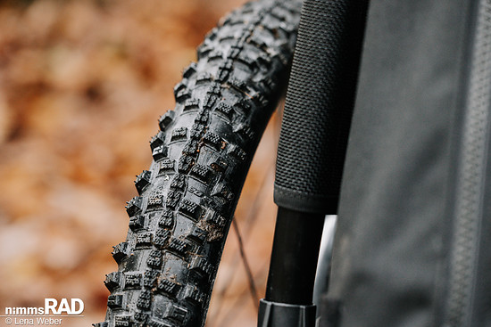 Veolo Dog  Nimms Rad Lena Weber©-08