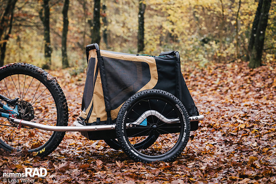 Veolo Dog  Nimms Rad Lena Weber©-17