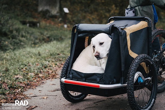 Veolo Dog  Nimms Rad Lena Weber©-21