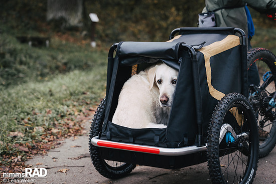 Veolo Dog  Nimms Rad Lena Weber©-22