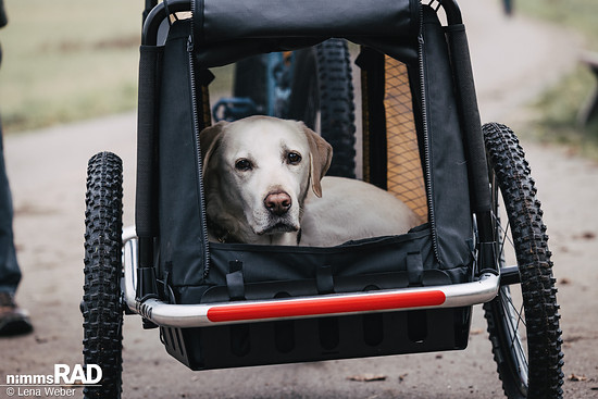 Veolo Dog  Nimms Rad Lena Weber©-32