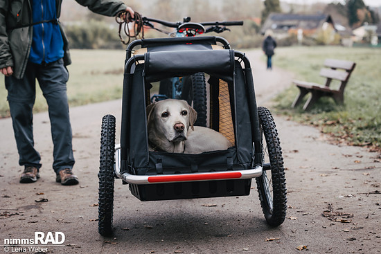 Veolo Dog  Nimms Rad Lena Weber©-33