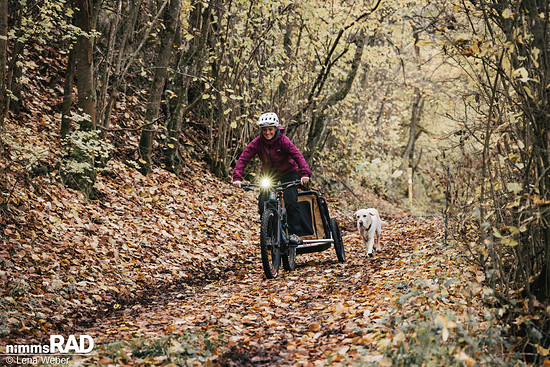 Veolo Dog  Nimms Rad Lena Weber©-42