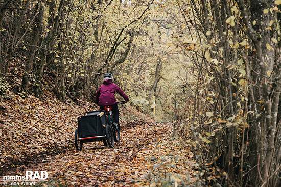 Veolo Dog  Nimms Rad Lena Weber©-43