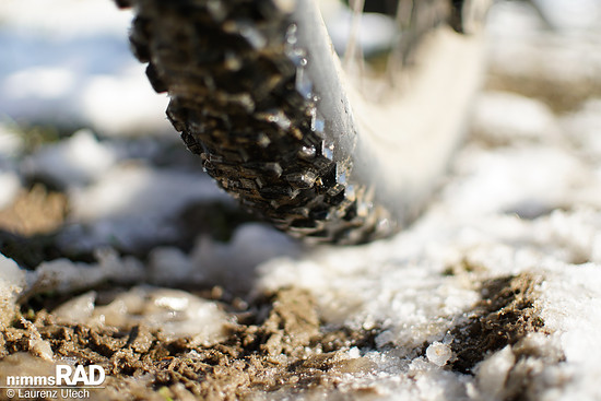 Schwalbe-Smart-Sam-Cargo-Reifen-Test Nimms-Rad-3