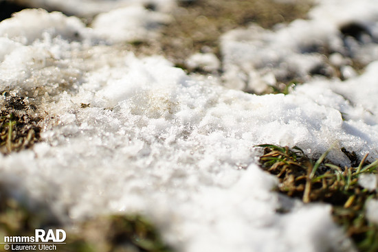 Schwalbe-Smart-Sam-Cargo-Reifen-Test Nimms-Rad-12