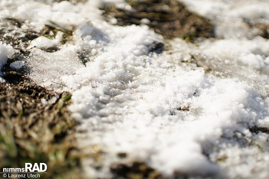 Schwalbe-Smart-Sam-Cargo-Reifen-Test Nimms-Rad-13