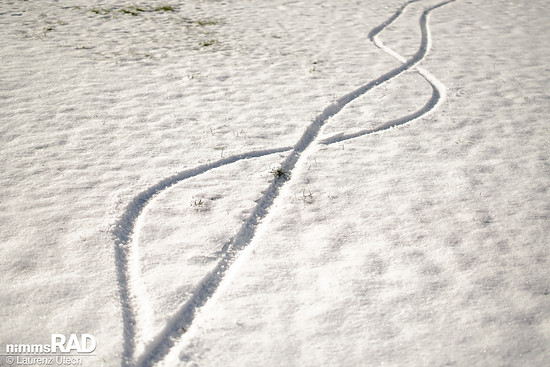 Schwalbe-Smart-Sam-Cargo-Reifen-Test Nimms-Rad-17