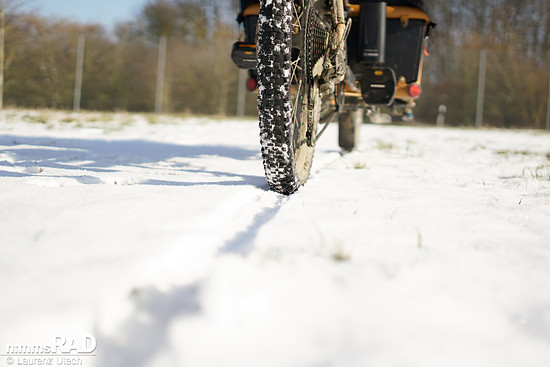 Selbst auf Schnee greift der Smart Sam Cargo zuverlässig – die ausgeprägten Stollen geben dem Rad Seitenhalt und Kontrolle.