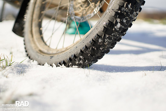 Schwalbe-Smart-Sam-Cargo-Reifen-Test Nimms-Rad-31