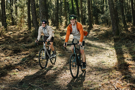 Groß (rose-bikes-backroad-al-plus_04).jpeg