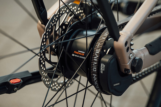 ORBEA CARPE26 BIKECHECKS 66
