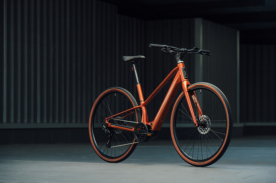 Wer es lieber minimalistisch mag, den könnte das Carpe 25 ansprechen. Es verzichtet unter anderem auf Schutzbleche und Gepäckträger, kommt dafür aber mit der sportlicheren Optik.