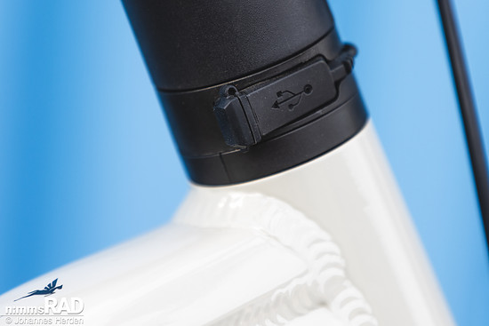 Pegasus-35
