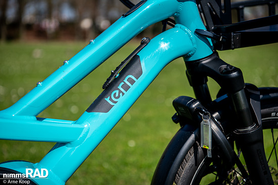 tern-7