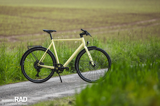 Rose Sneak Plus-2