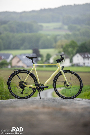 Rose Sneak Plus-6
