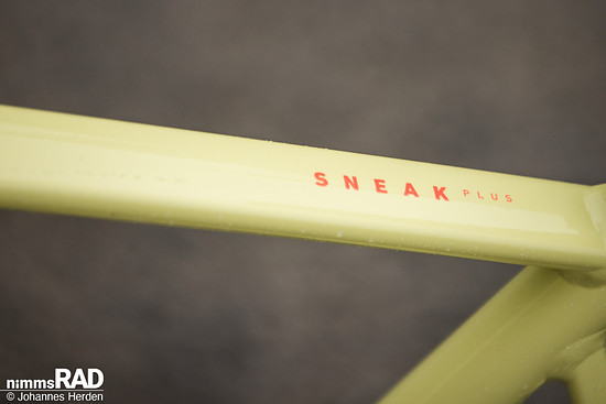 Rose Sneak Plus-24