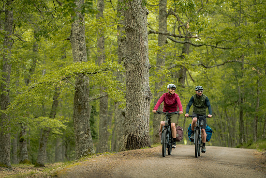 Bosch-eBike Certified by Bosch Pressebild 8