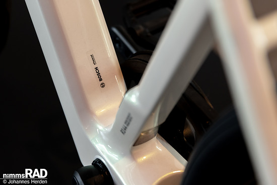Bosch-15