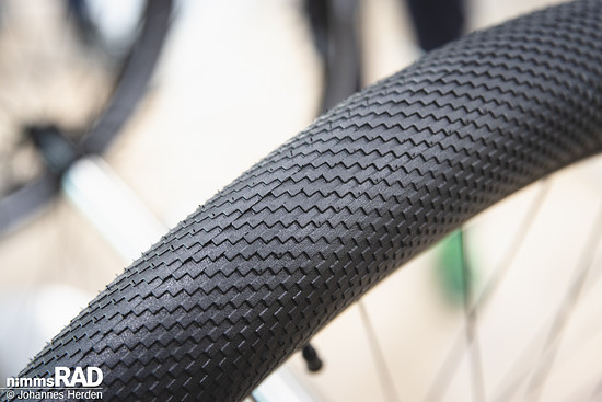 Schwalbe 2026-25